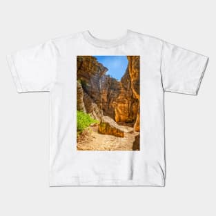 Lick Wash Trail Hike Kids T-Shirt